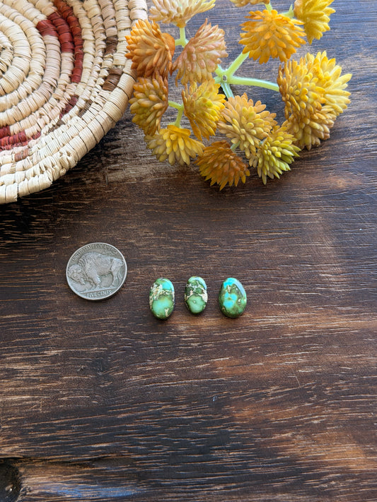 Sonoran Mountain Turquoise Cabs