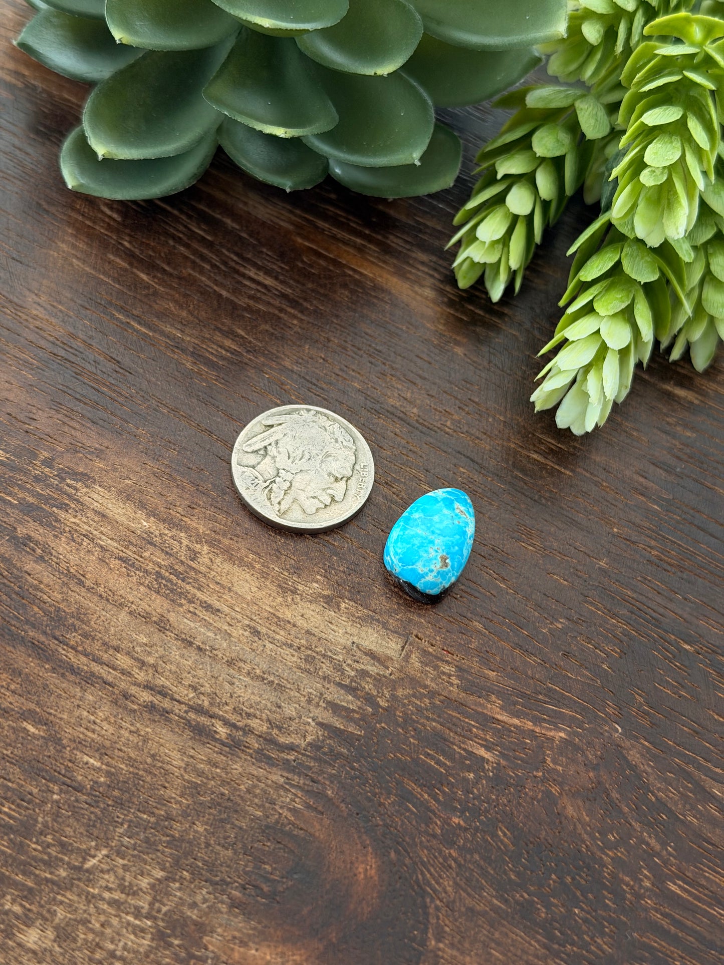 Blue Bird Turquoise Cab