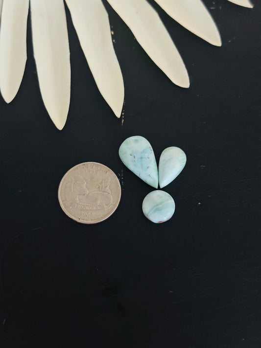 Larimar Cabs