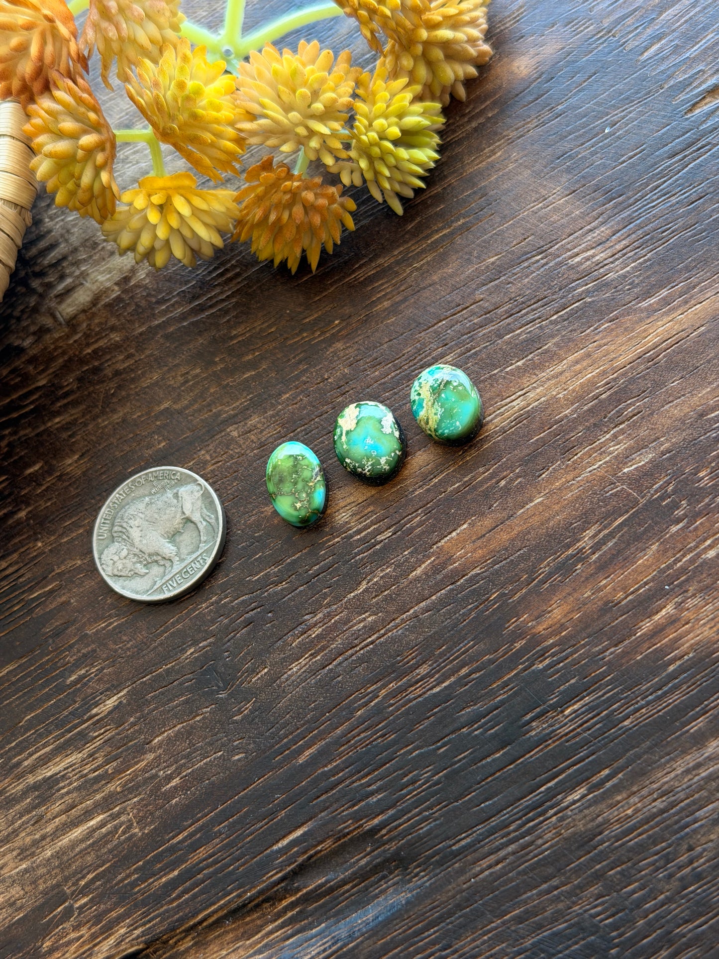 Sonoran Mountain Turquoise Cabs