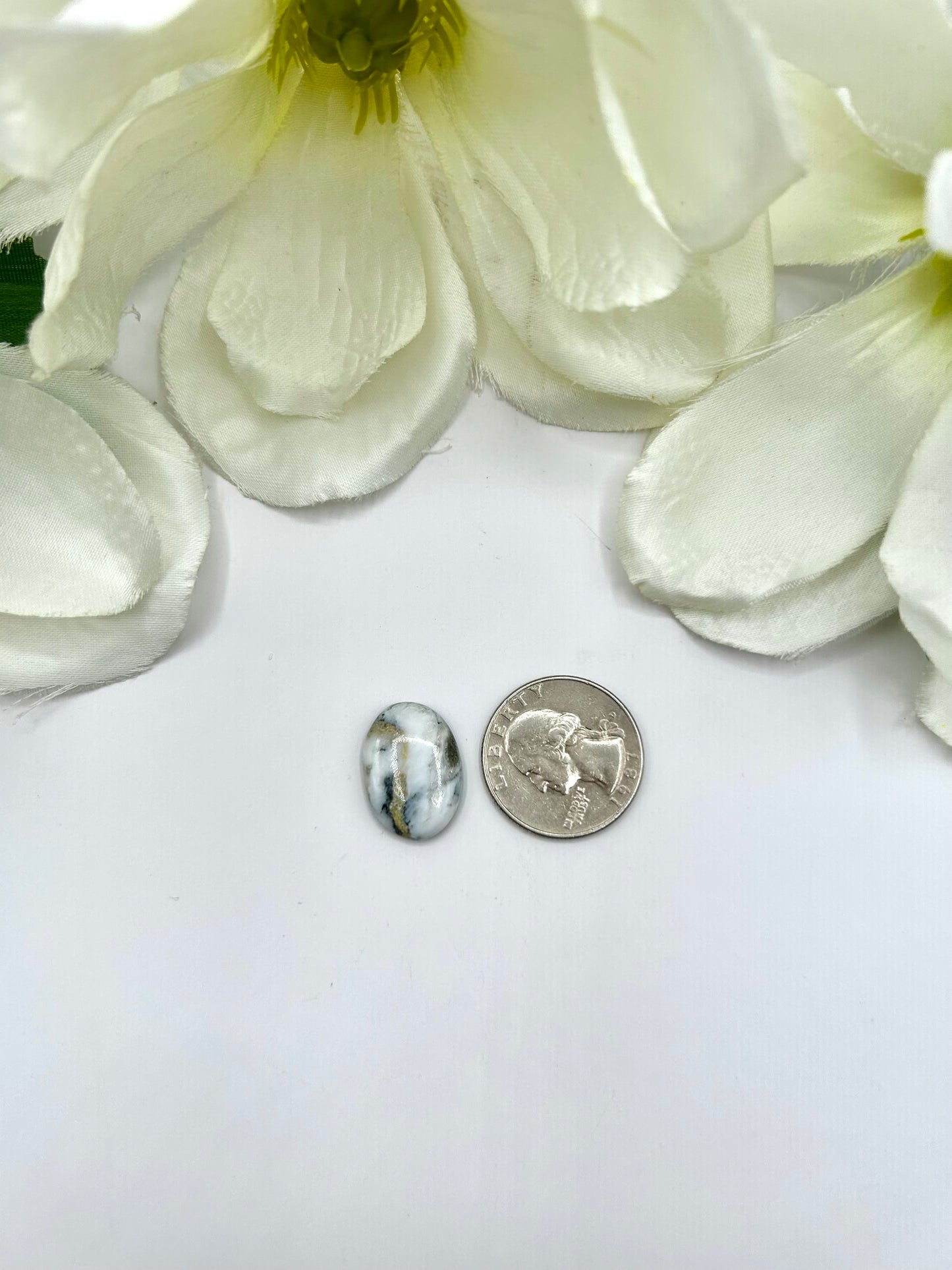 White Buffalo Cabs