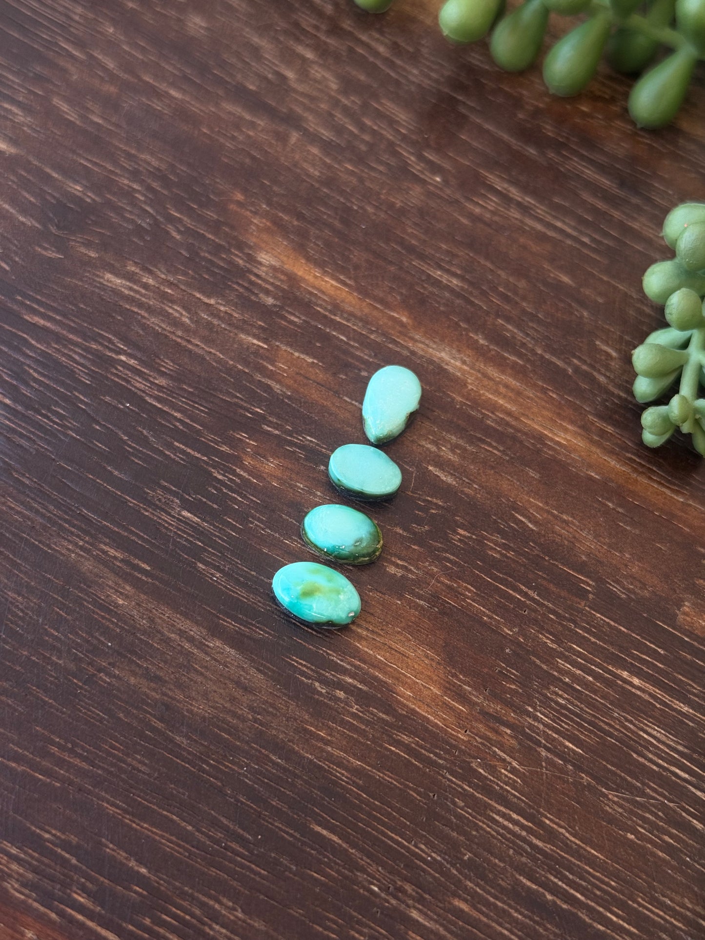 Sonoran Mountain Turquoise Cabs