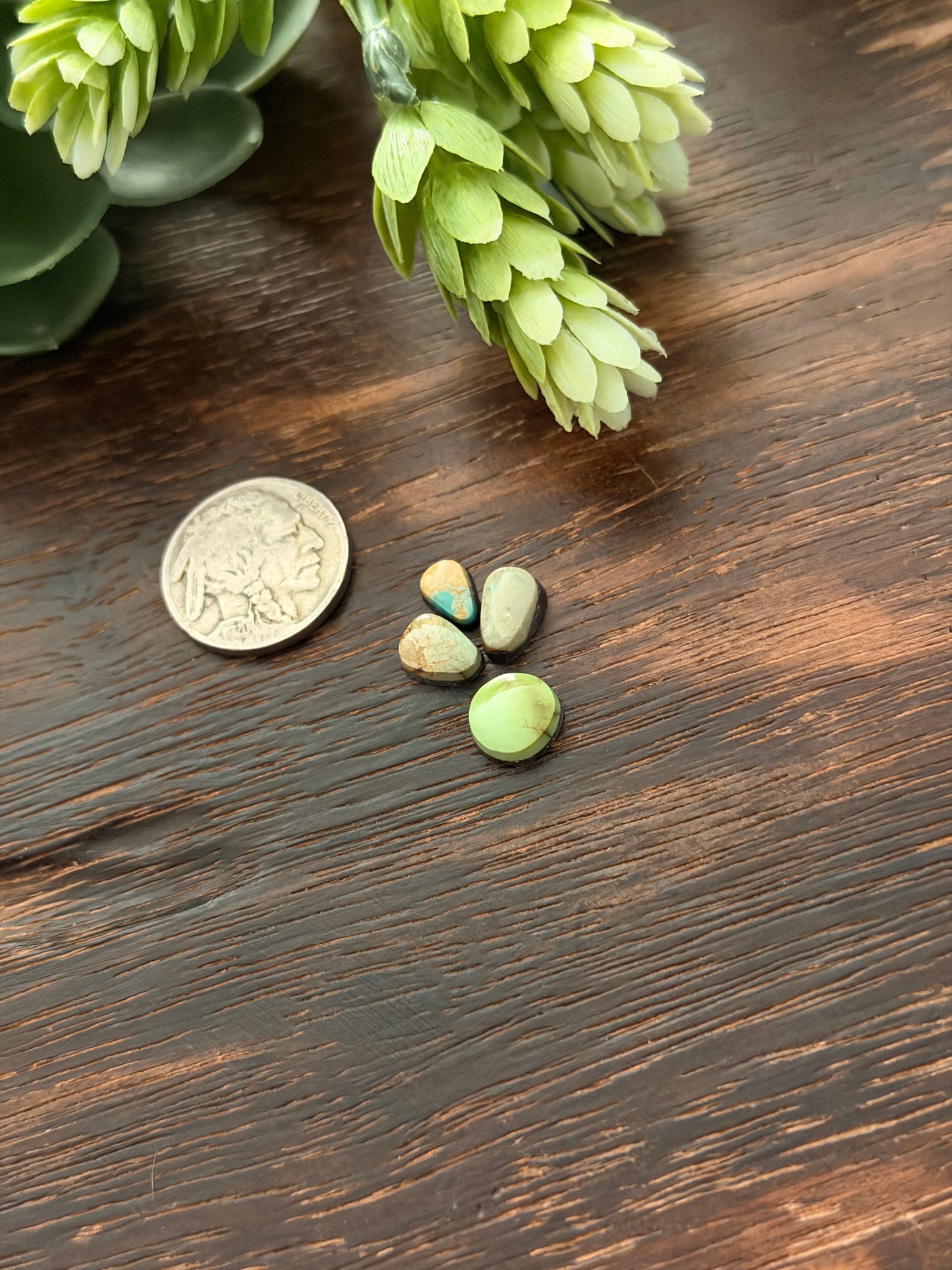 Evans Turquoise Cabs