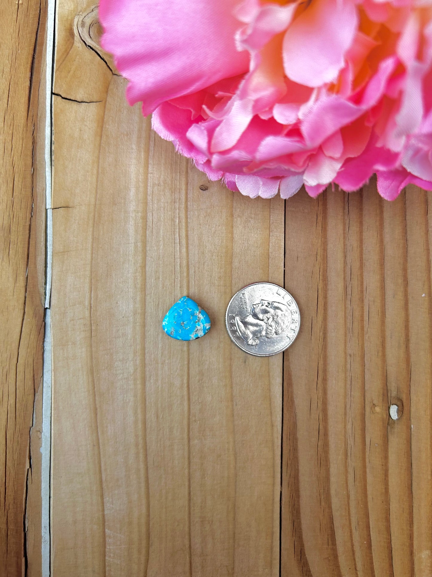 Blue Bird Turquoise Cabs