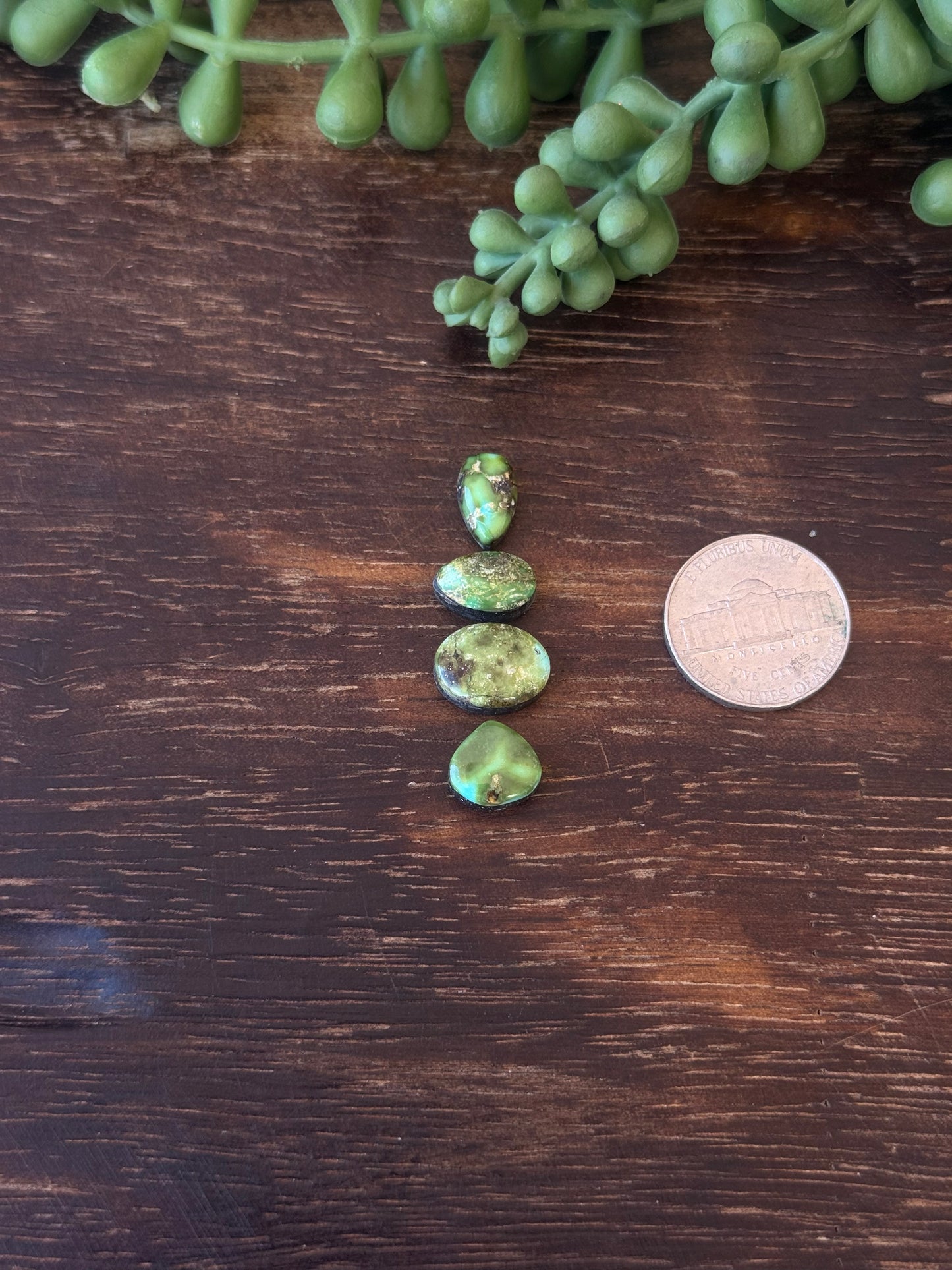 Sonoran Mountain Turquoise Cabs