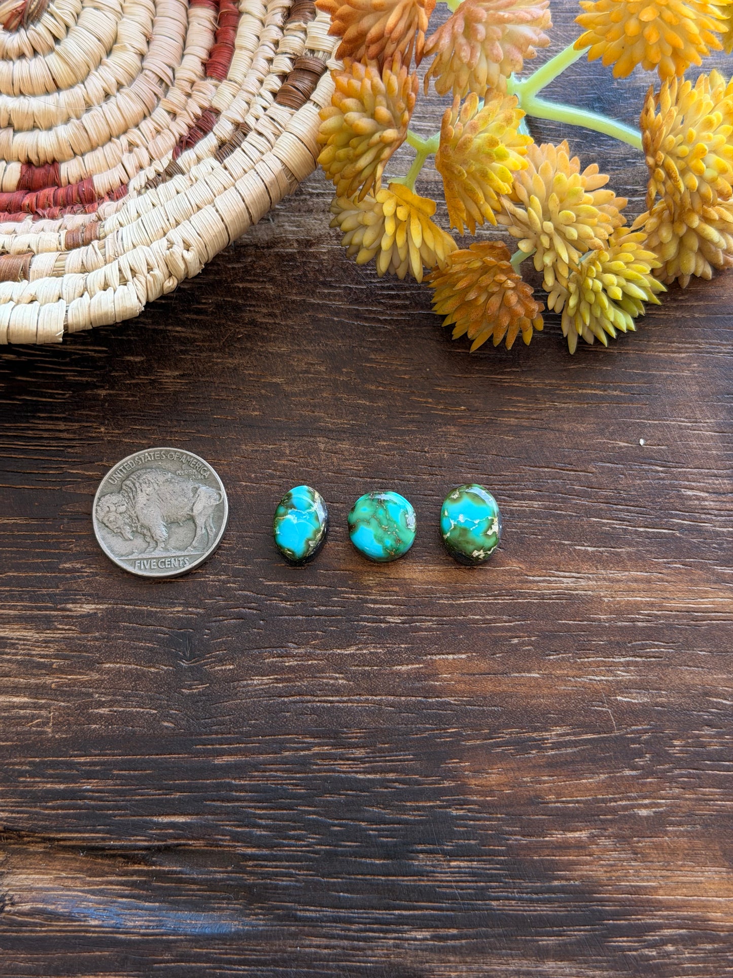 Sonoran Mountain Turquoise Cabs