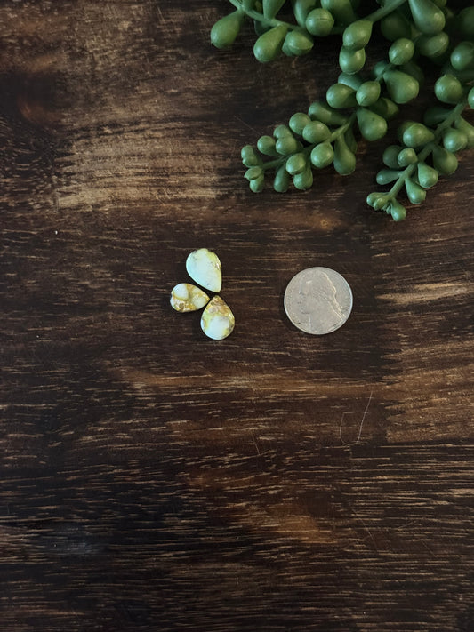 Palomino Variscite Cabs