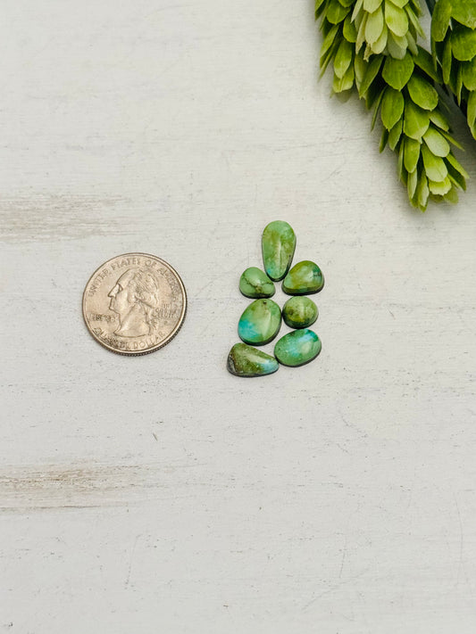 Natural Sonoran Gold Turquoise Cabs