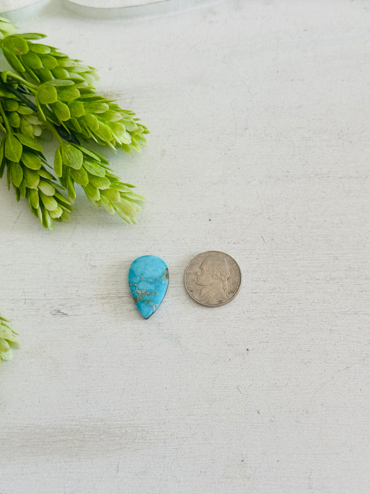 Blue Bird Turquoise Cab