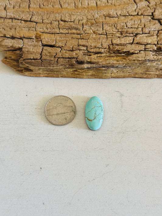Evans Turquoise Cab