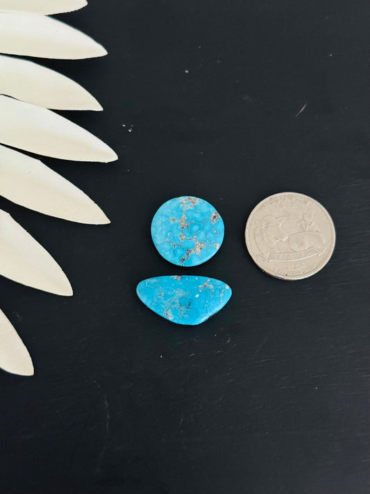 Blue Bird Turquoise Cabs