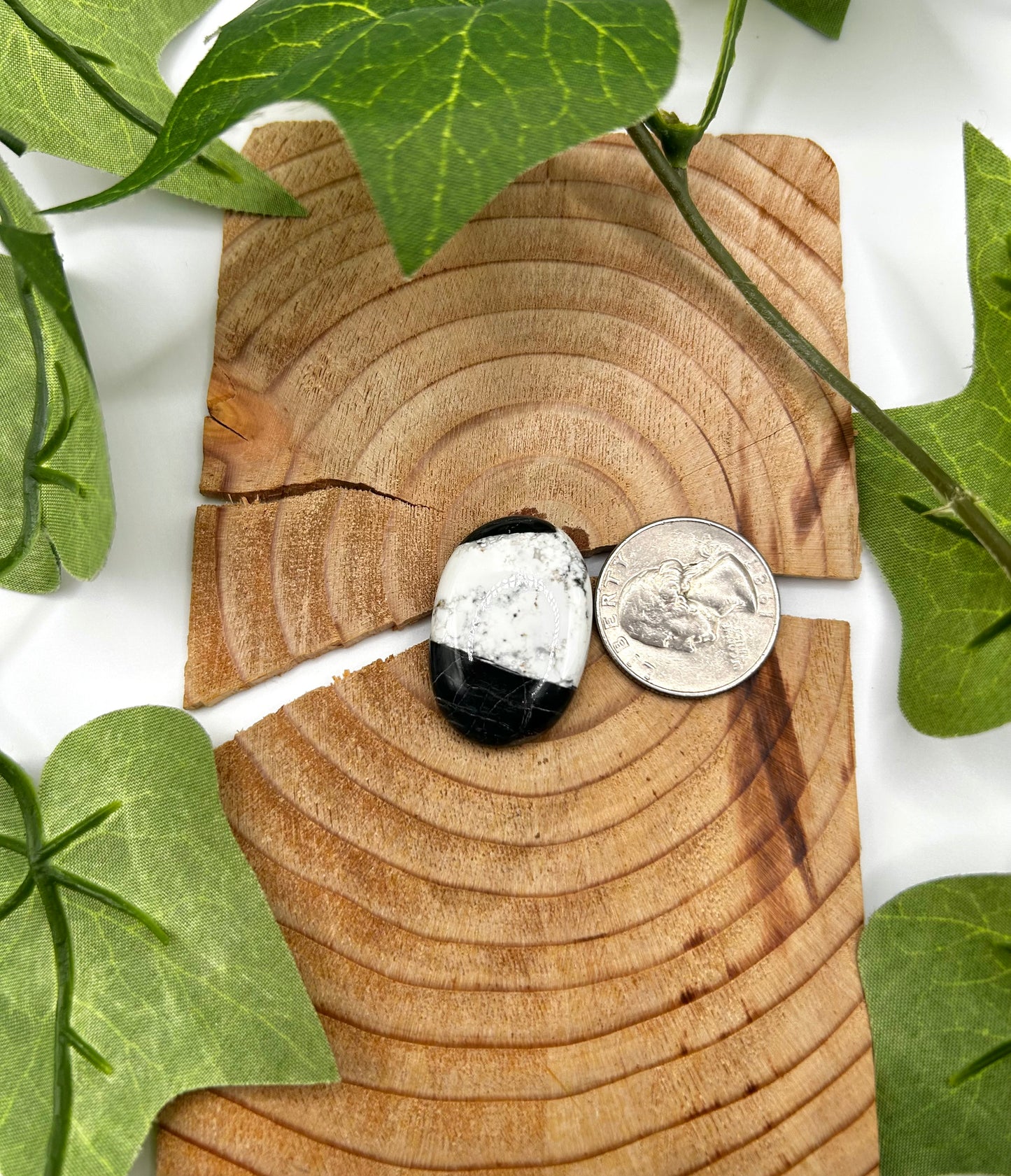 White Buffalo Cabs