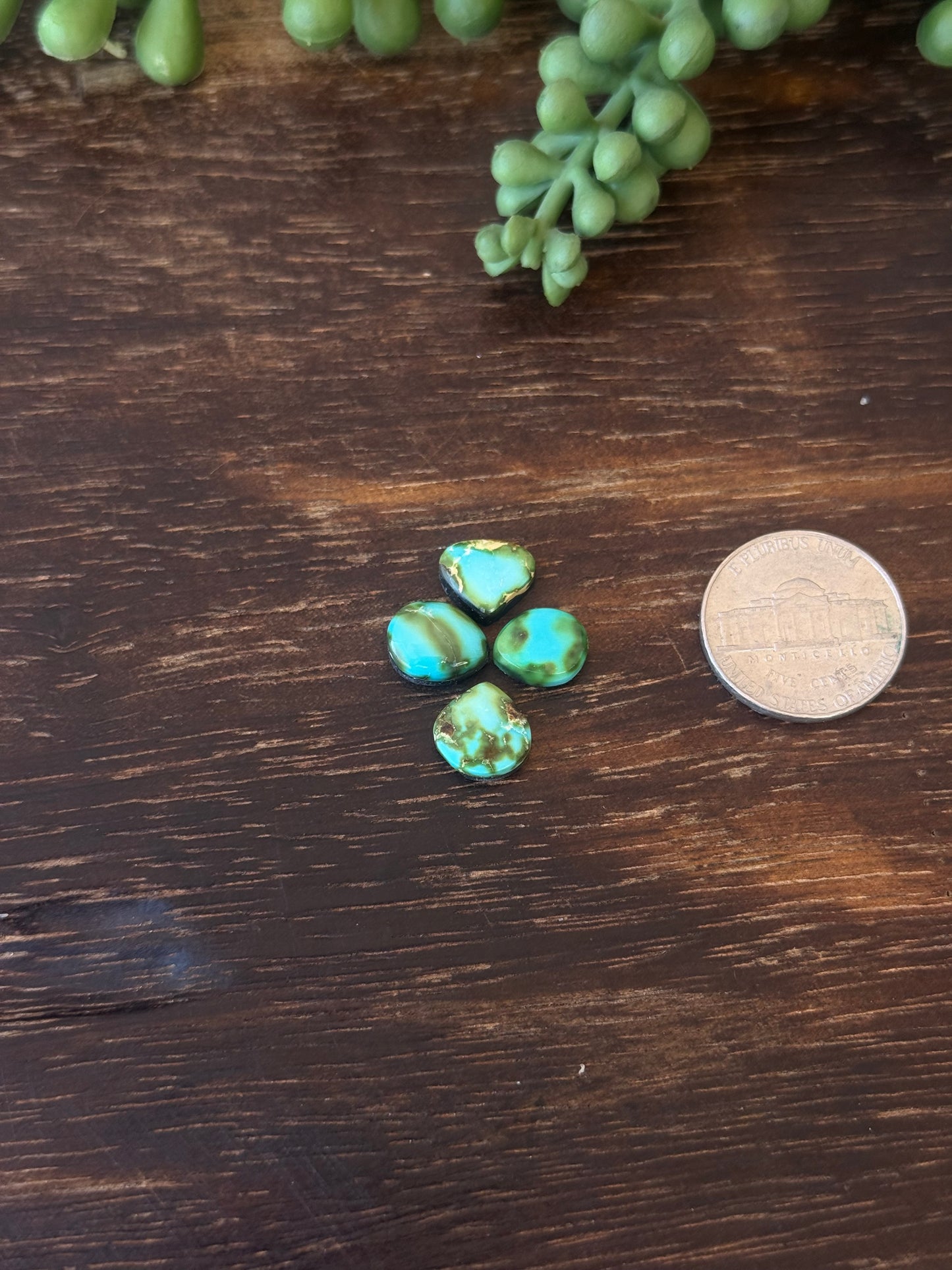 Sonoran Mountain Turquoise Cabs