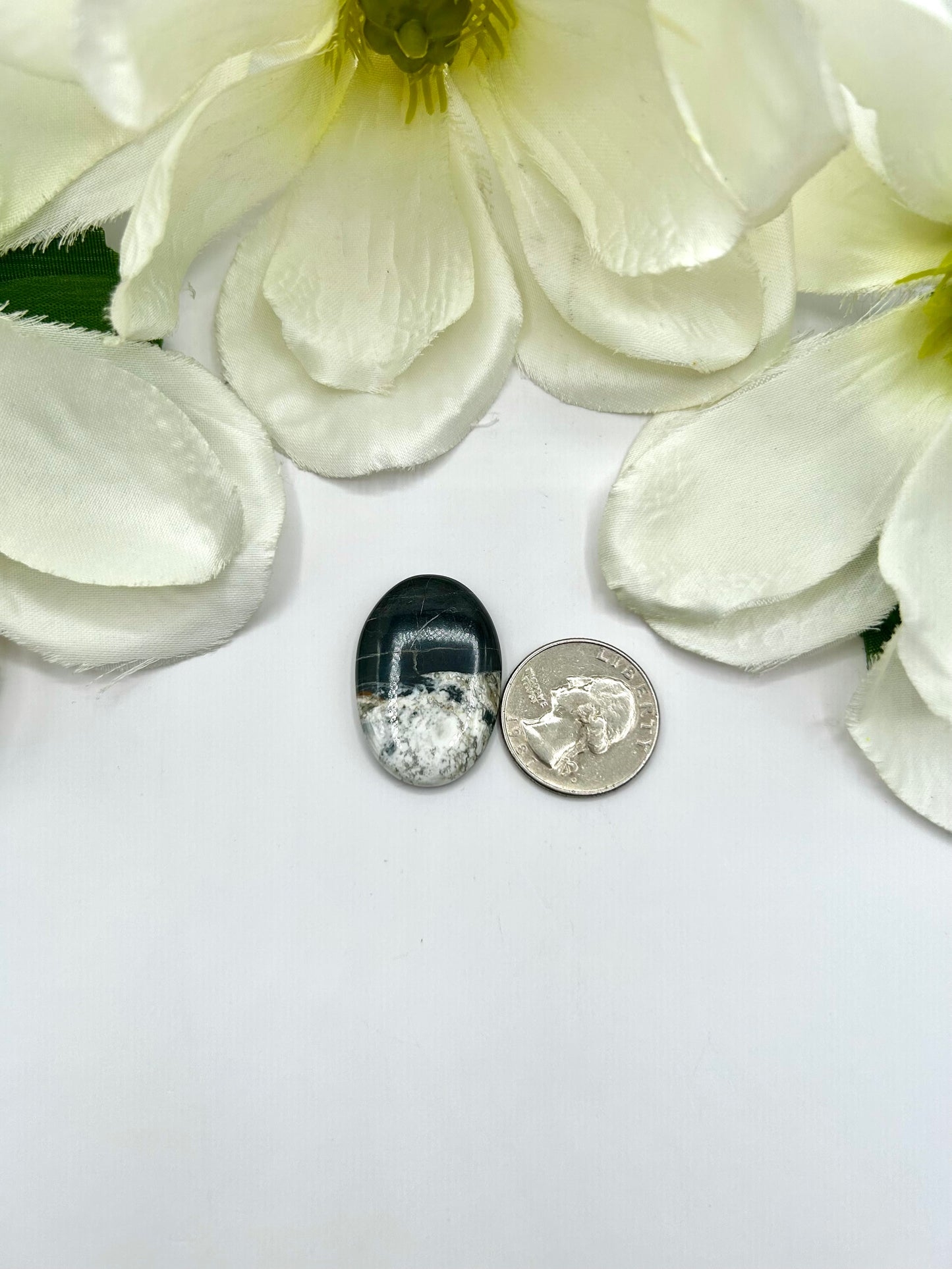 White Buffalo Cabs