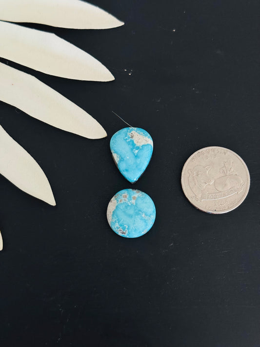 Blue Bird Turquoise Cabs