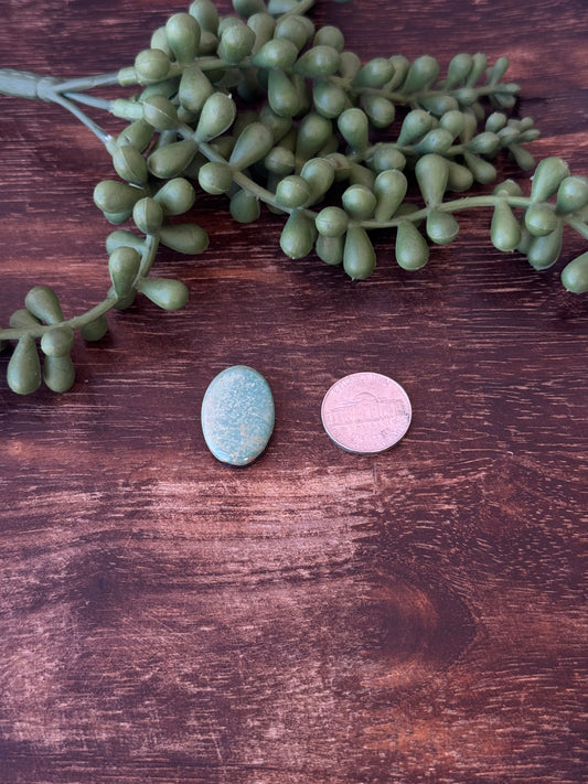Kingman Turquoise Cab