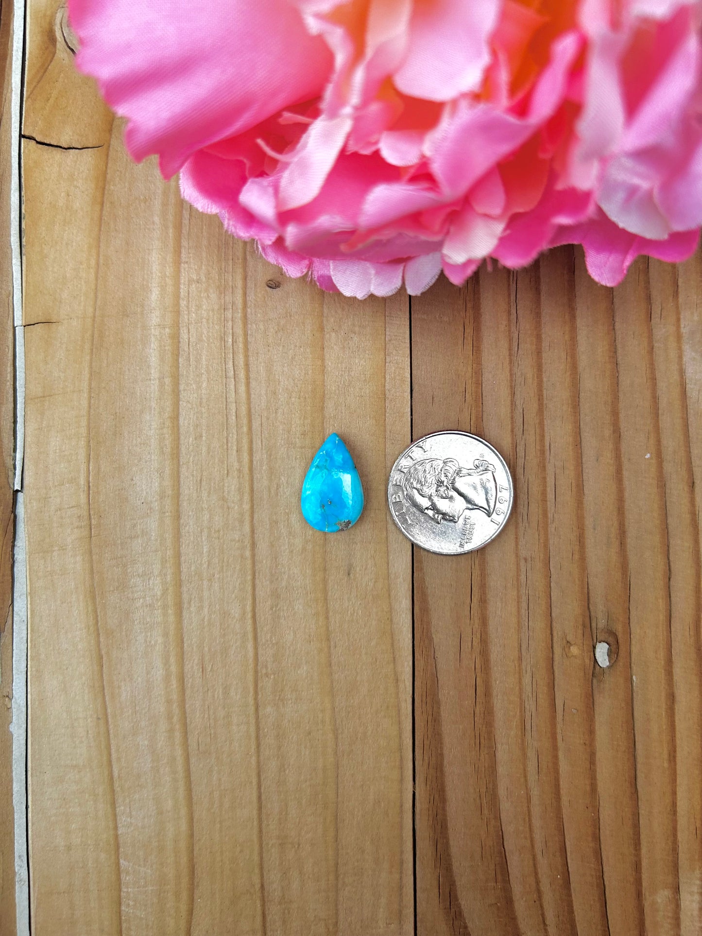 Blue Bird Turquoise Cabs