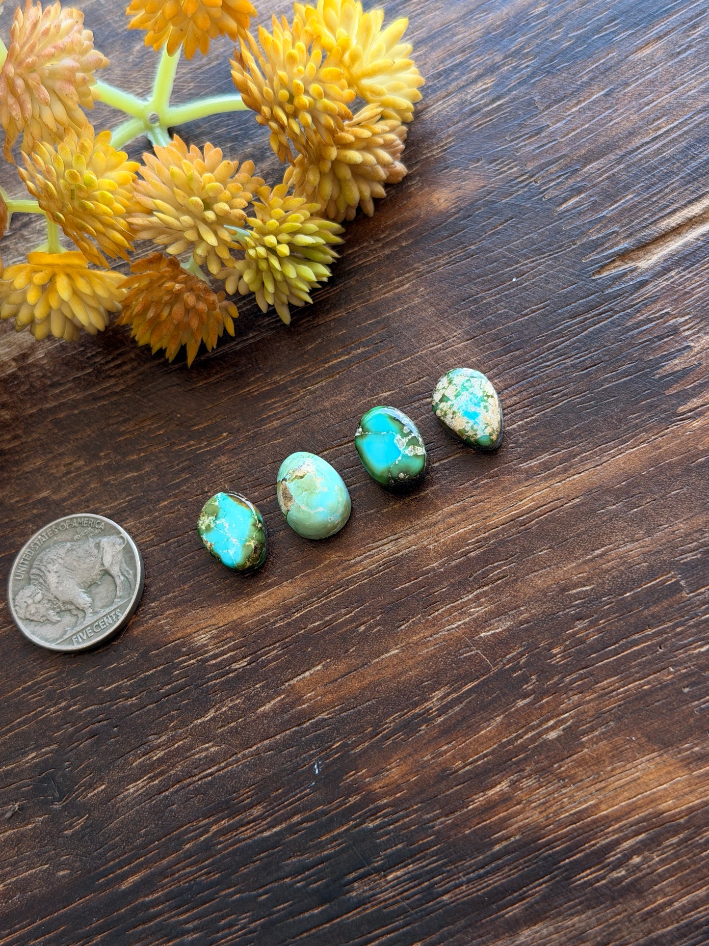 Sonoran Mountain Turquoise Cabs