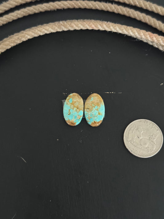 #8 Turquoise Earring Pair Cabs