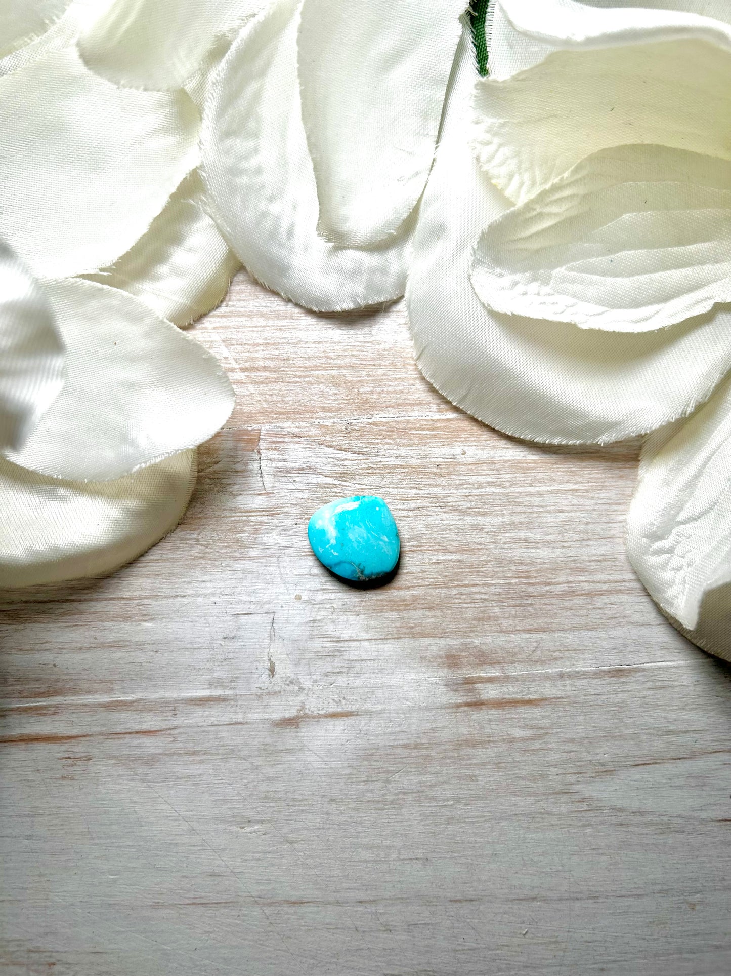 Blue Ridge Turquoise Cab