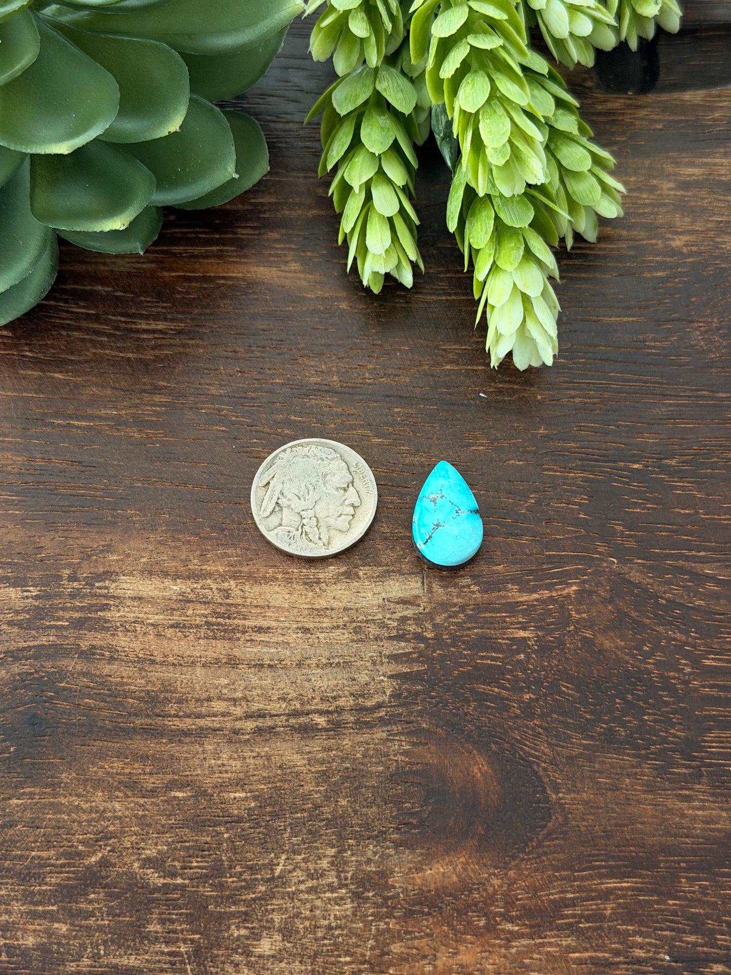 Blue Bird Turquoise Cab