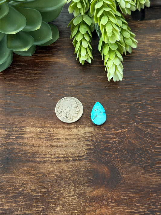 Blue Bird Turquoise Cab