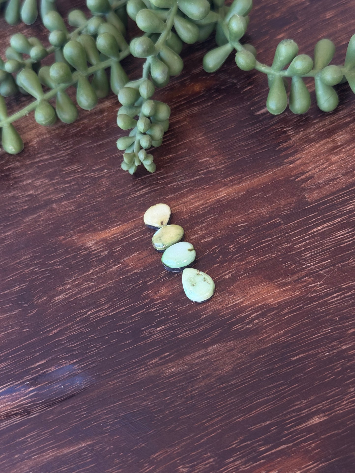 Sonoran Mountain Turquoise Cabs