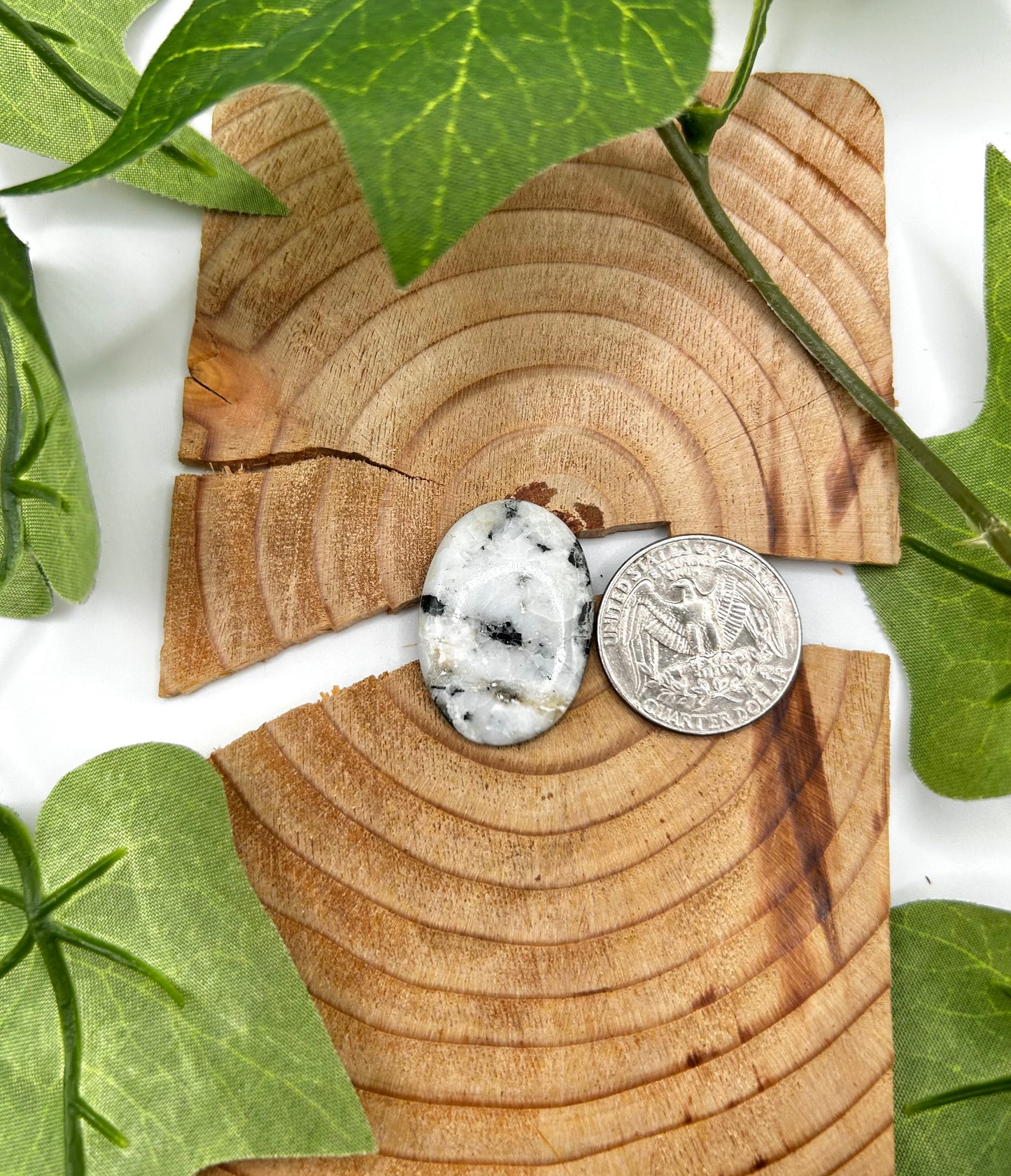 White Buffalo Cabs