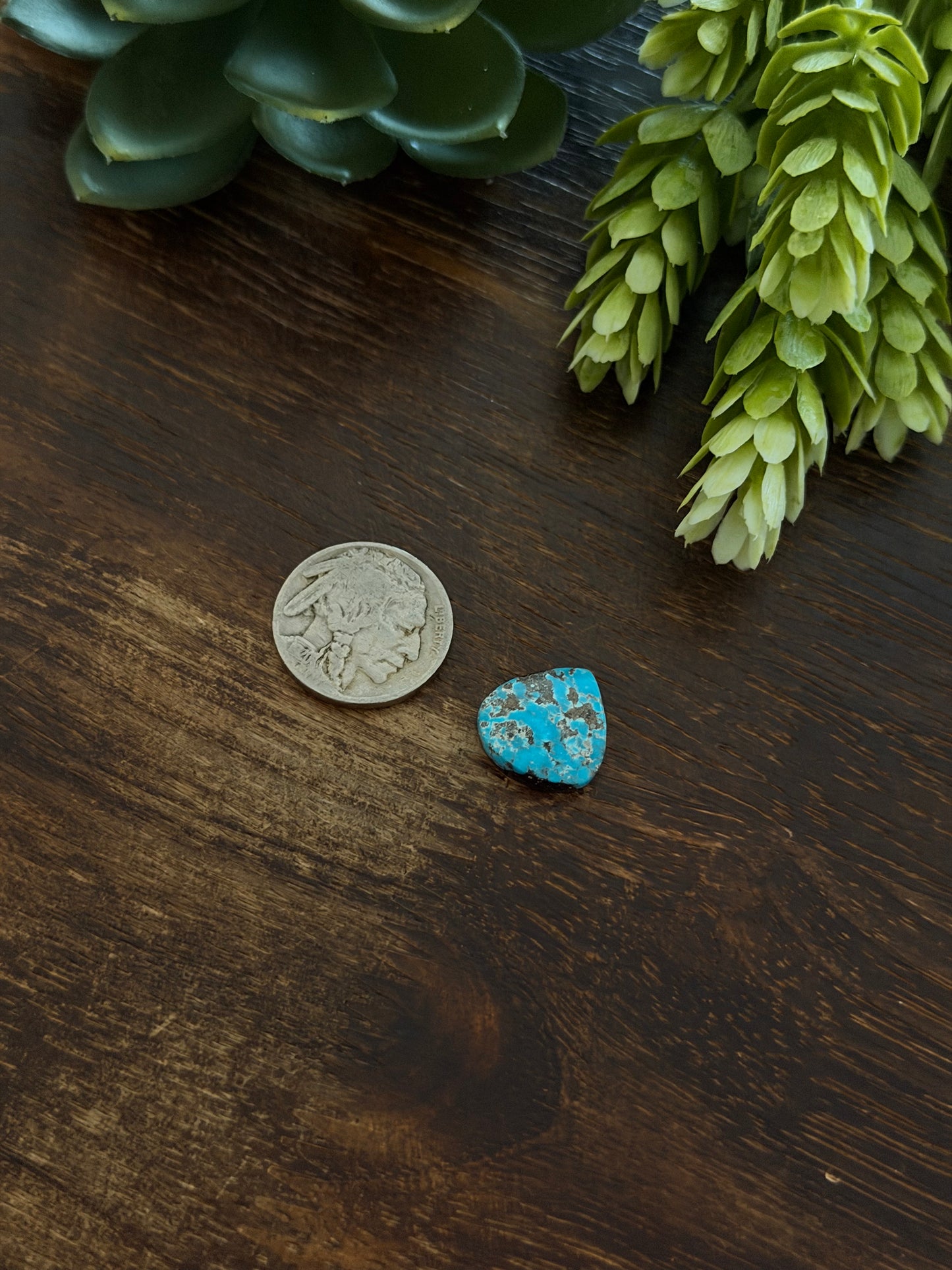 Blue Bird Turquoise Cab