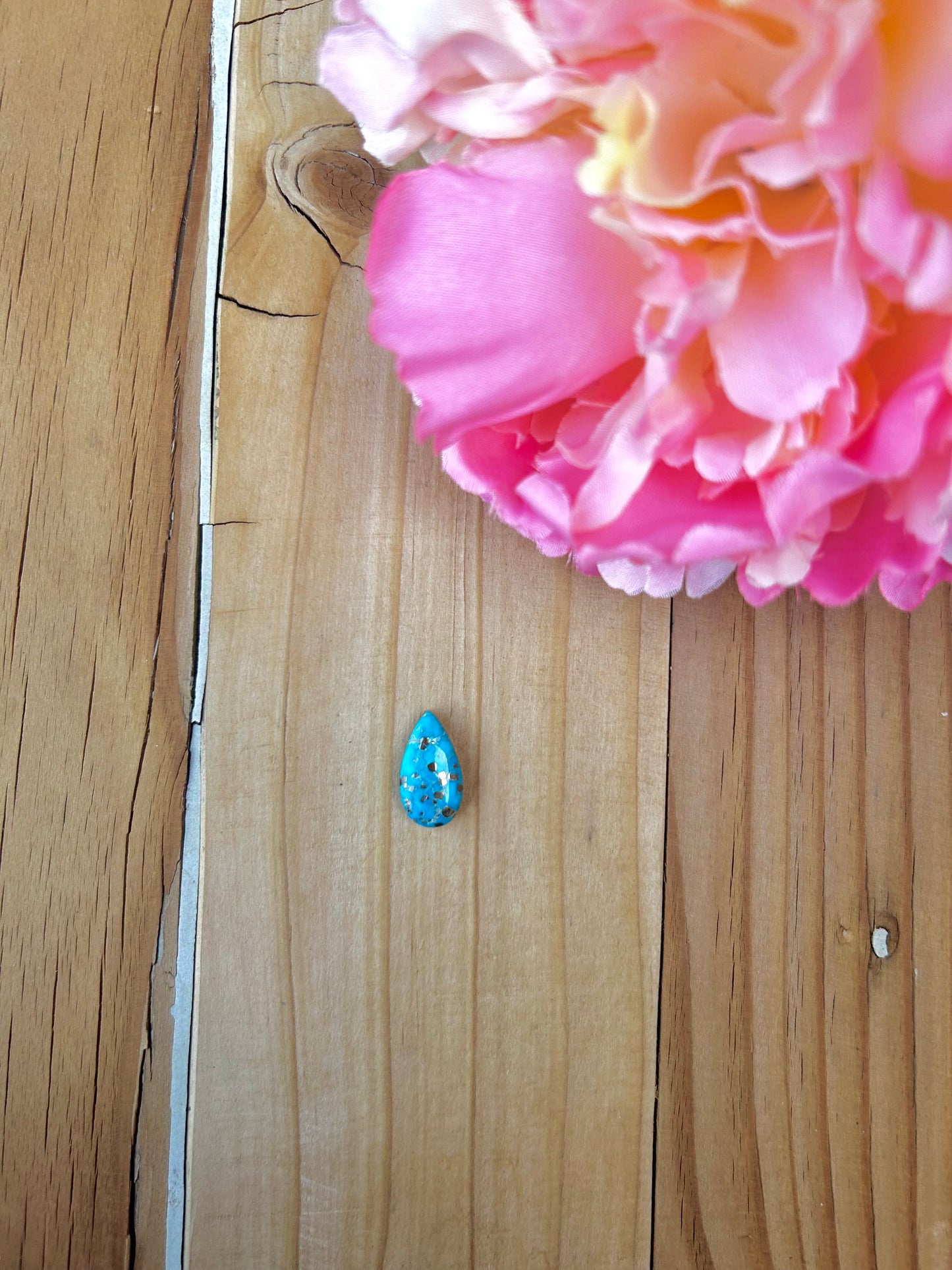 Blue Bird Turquoise Cabs