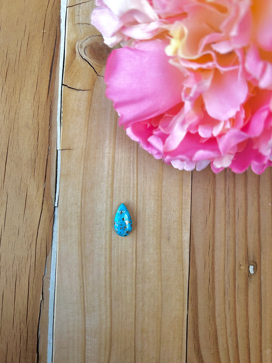 Blue Bird Turquoise Cabs
