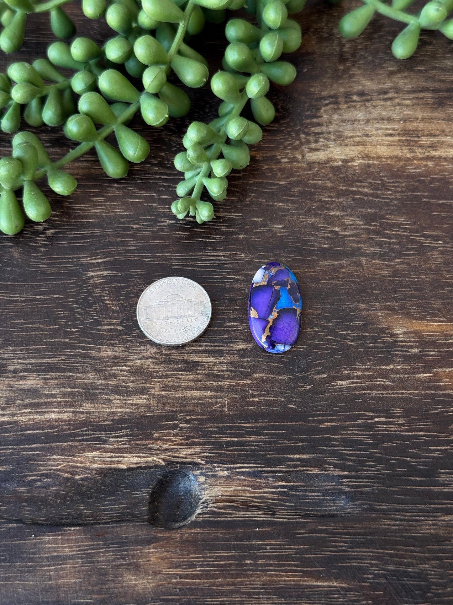 Purple Dahlia Composite Cabs
