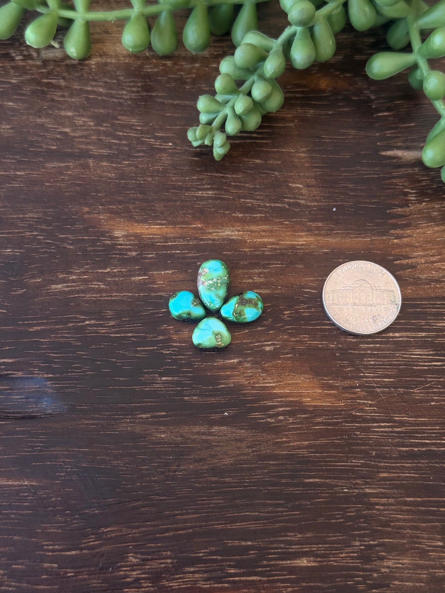 Sonoran Mountain Turquoise Cabs