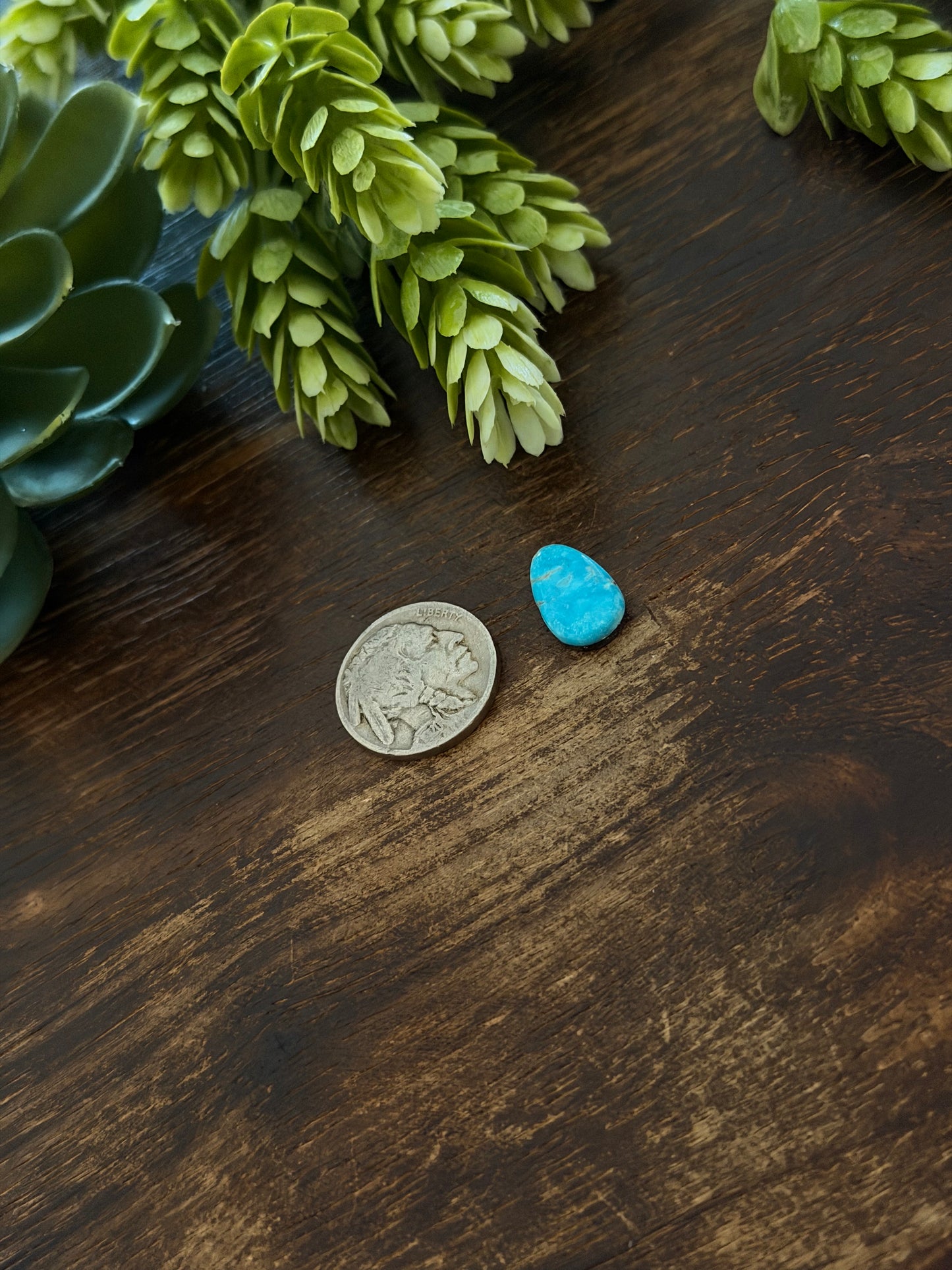 Blue Bird Turquoise Cab
