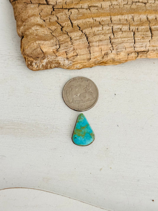 Natural Kings Manassa Turquoise Cab