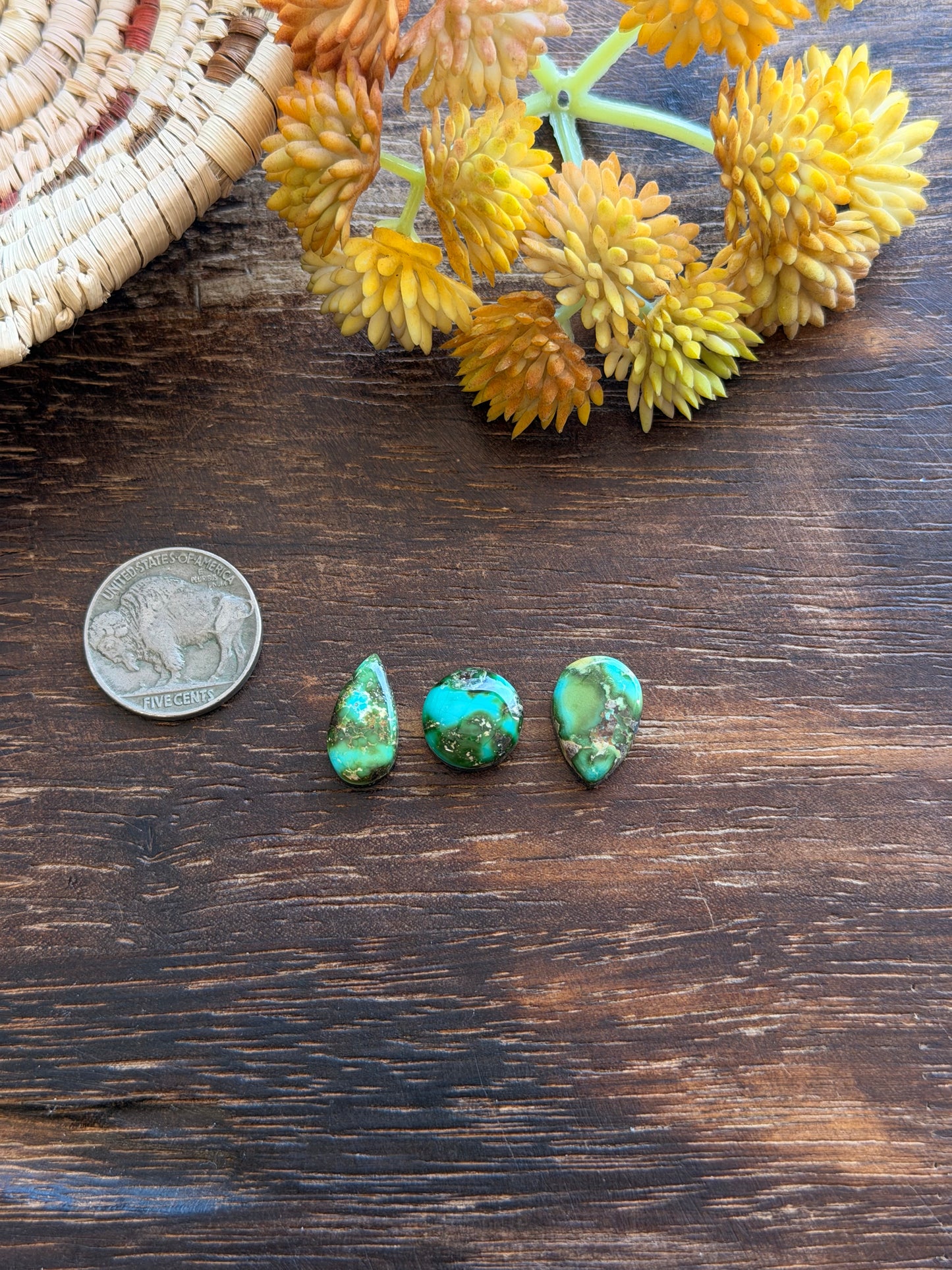 Sonoran Mountain Turquoise Cabs
