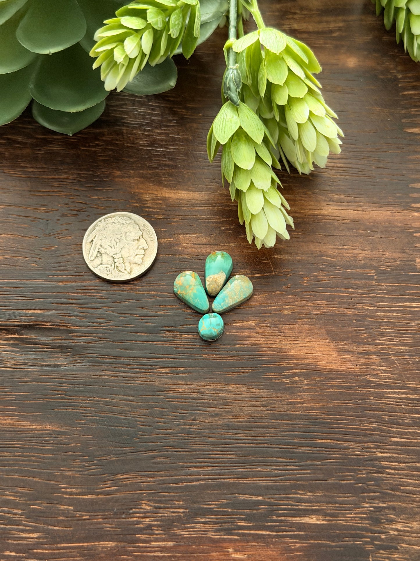 Evans Turquoise Cabs