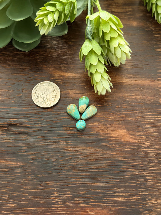 Evans Turquoise Cabs