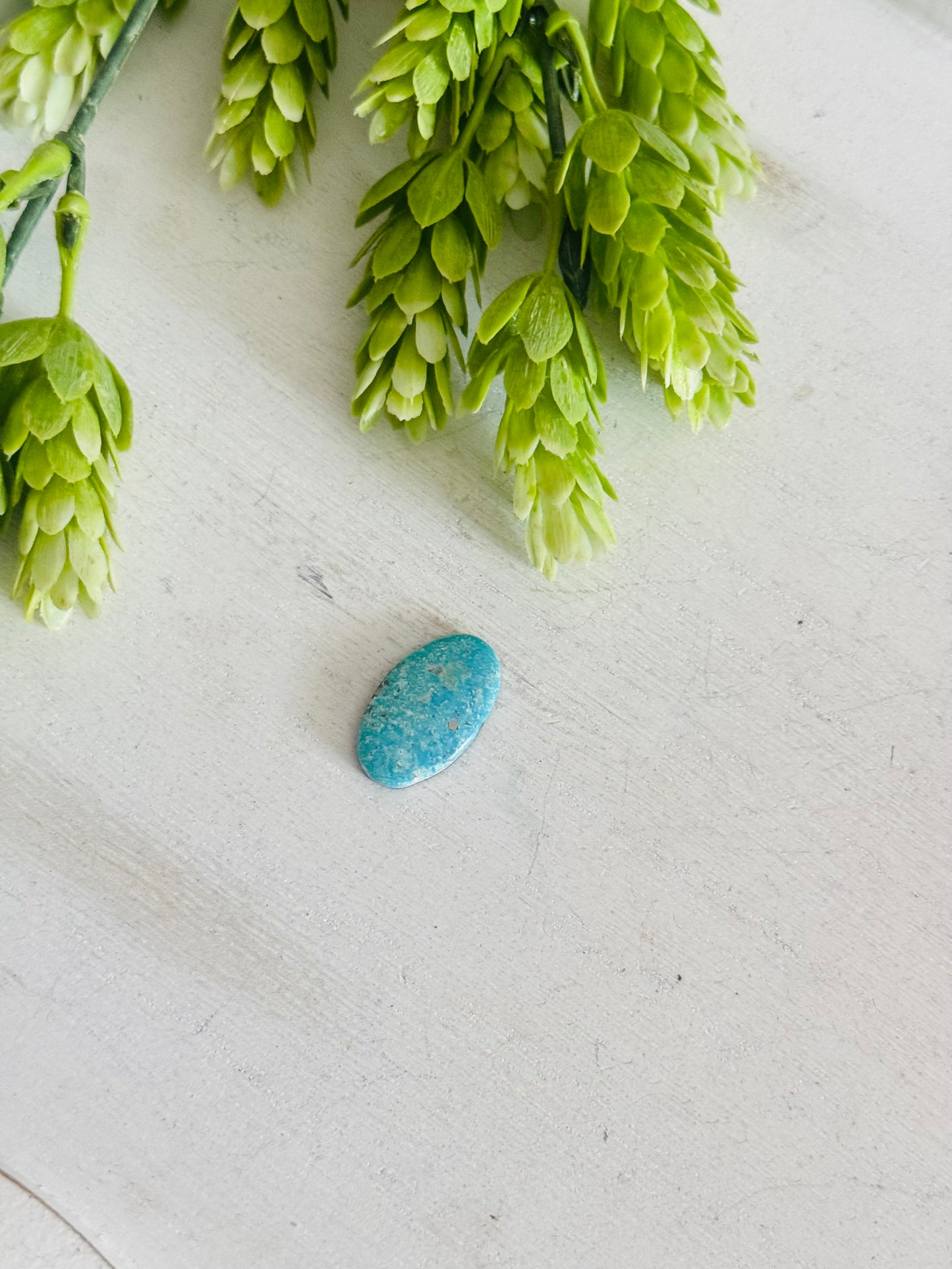 Blue Bird Turquoise Cab