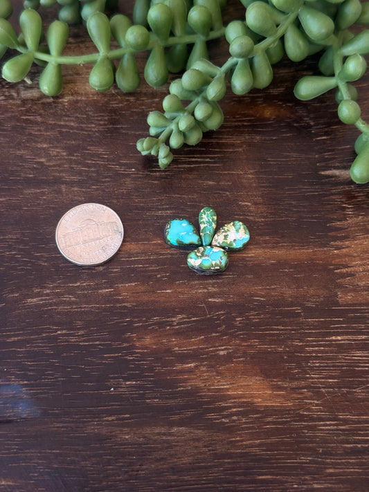 Sonoran Mountain Turquoise Cabs