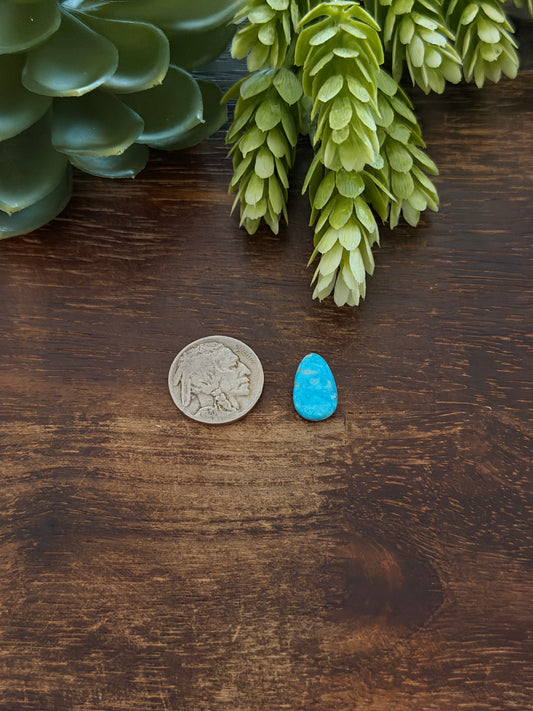 Blue Bird Turquoise Cab