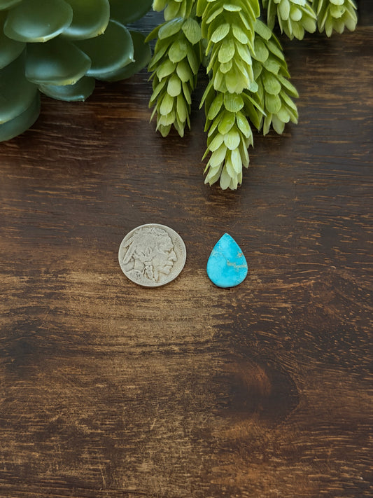 Blue Bird Turquoise Cab