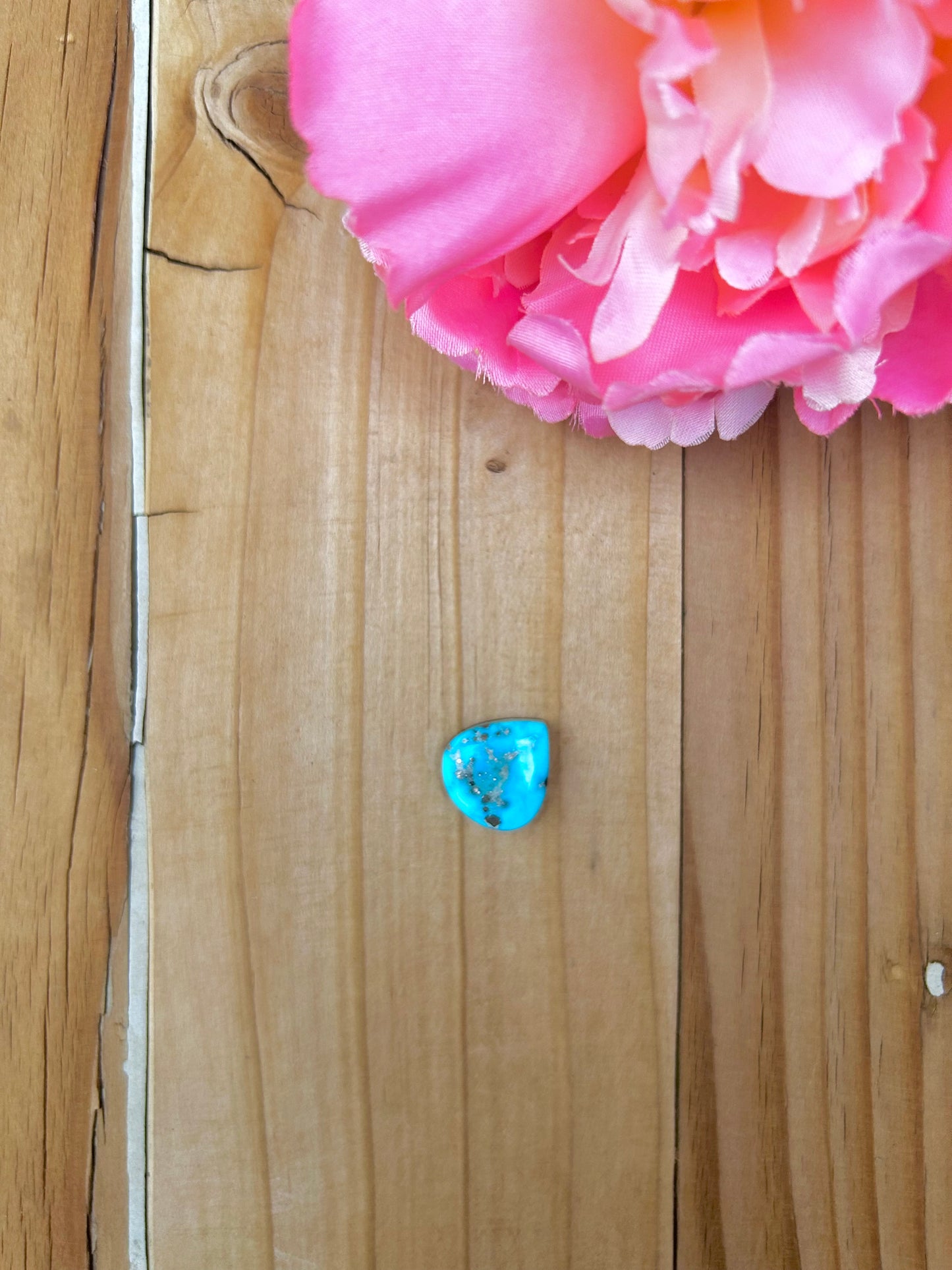 Blue Bird Turquoise Cabs