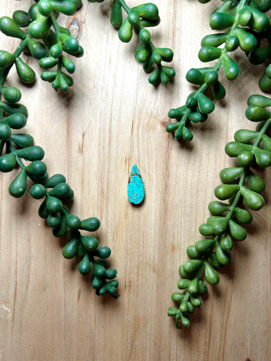 Kingman Turquoise Cab