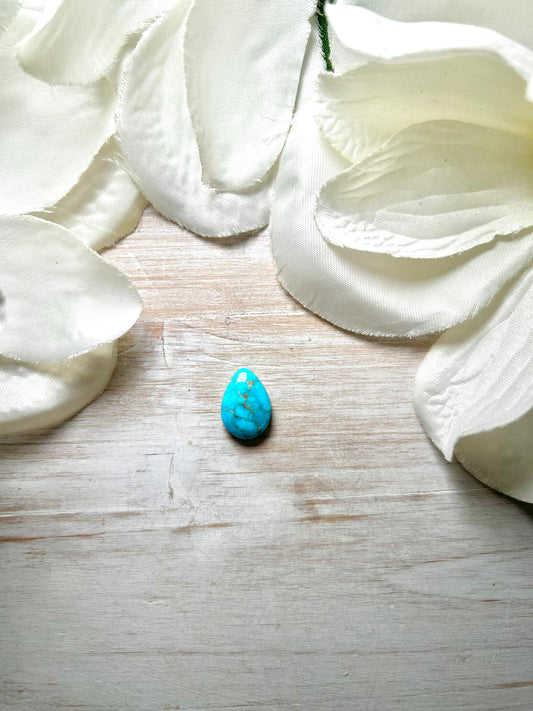 Blue Ridge Turquoise Cab