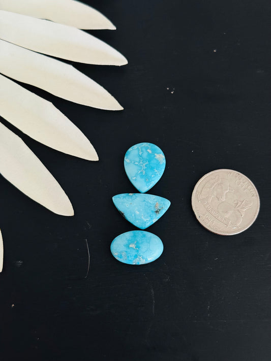 Blue Bird Turquoise Cabs