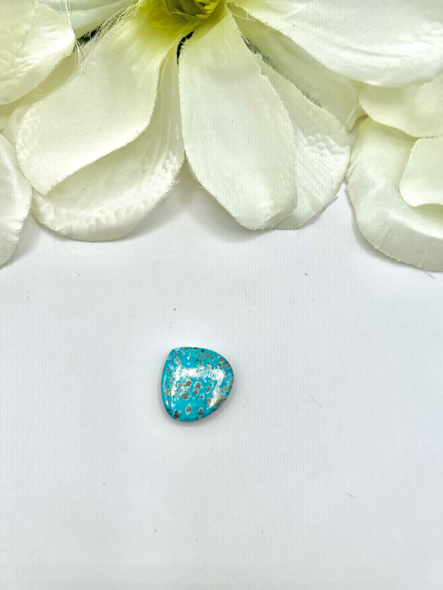 Blue Ridge Turquoise Cabs