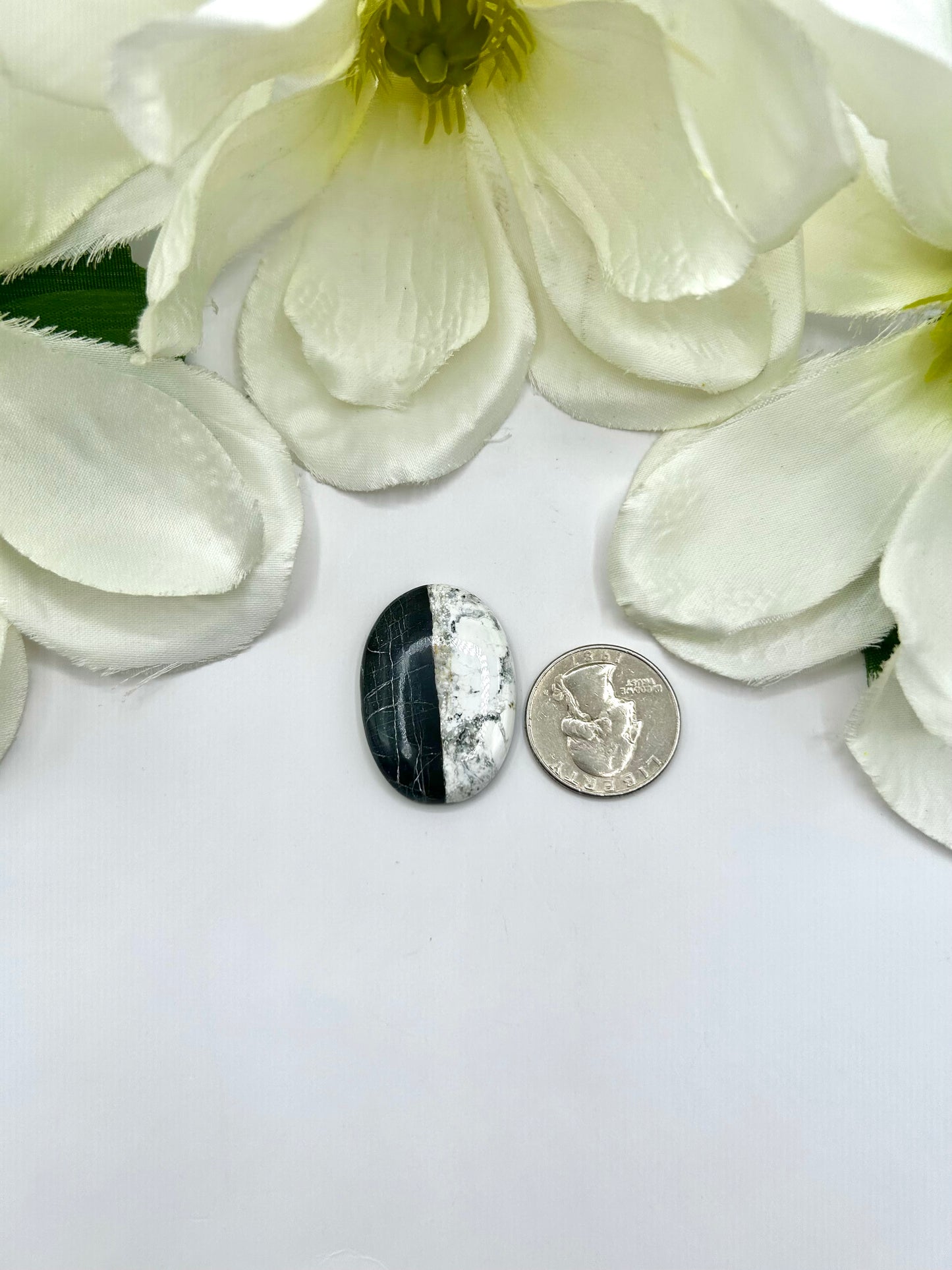 White Buffalo Cabs