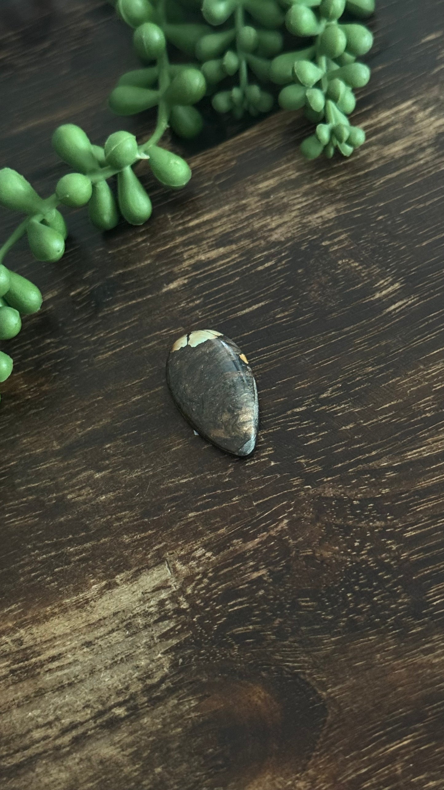 Black Jack Turquoise Cab