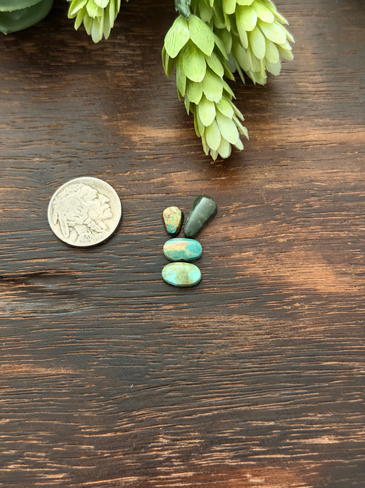 Evans Turquoise Cabs